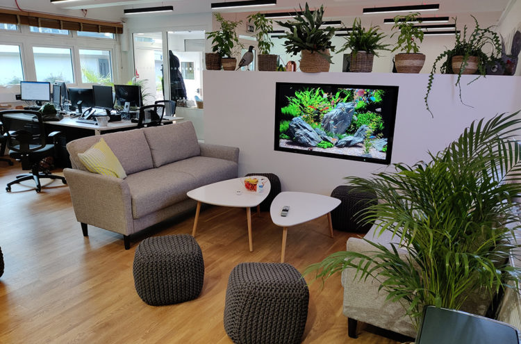 A modern office lounge area featuring a grey couch with a pillow, two white coffee tables, and a large fish tank on a stylish partition wall. The space is adorned with potted plants and has a relaxed ambiance with soft seating and several workstations in the background.